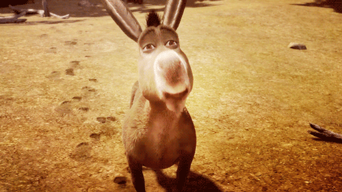 tumblr_ma5hiw3S7A1rdxepwo1_500.gif