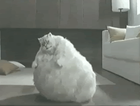 tumblr_l5d3911dhG1qcn249o1_500.gif