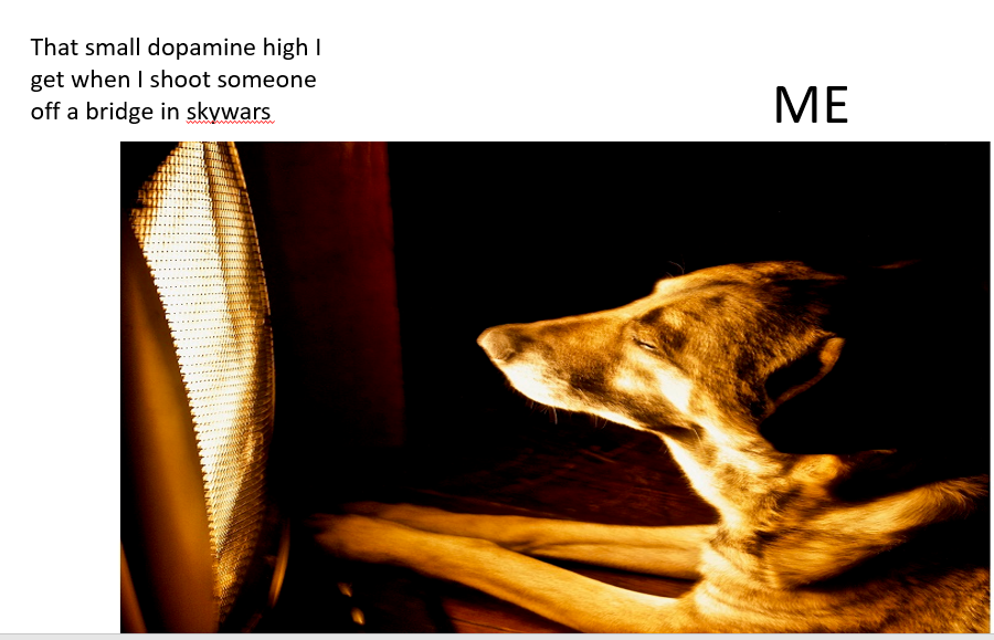 L7uZKm7.png