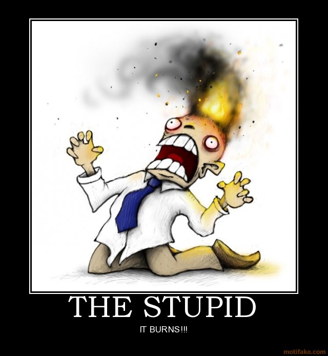 the-stupid-it-burns.jpg