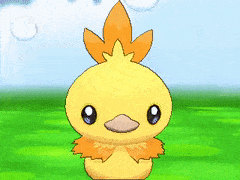 VictoriousNiceGalah-max-1mb.gif