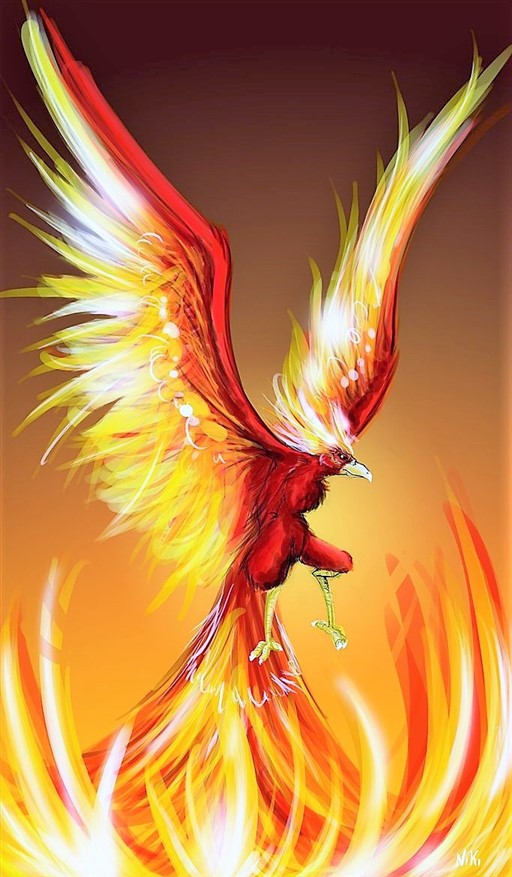 ave_fenix_(512_x_877).jpg