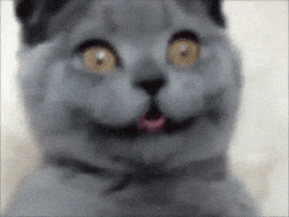 200.gif