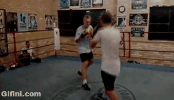tumblr_n67294p0Ee1tv7yt8o1_400.gif