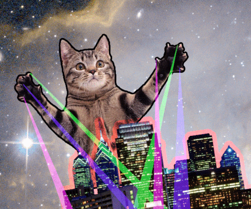 tumblr_musc5yWCYu1sk9mezo1_500.gif