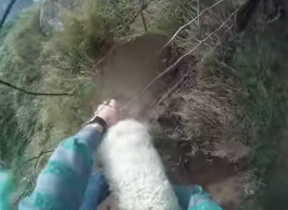 3307f4bcdfd7adb2dfdebb4c569482ca.gif