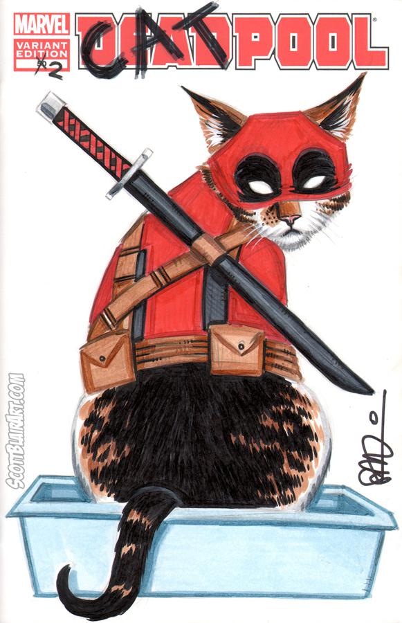 catpool_2.jpg