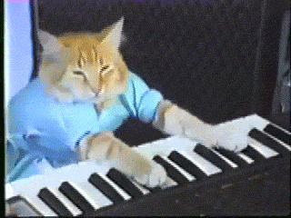 ymckEpq27dQ9W.gif