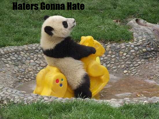 haters-gonna-hate-random-31076705-550-413.jpg