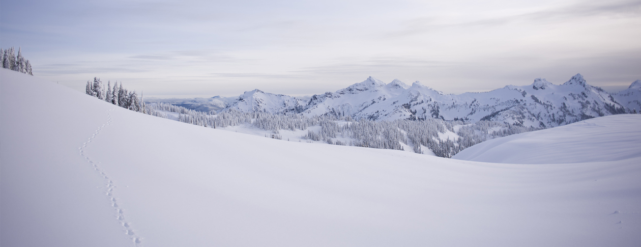 Snow-field-1260px.jpg