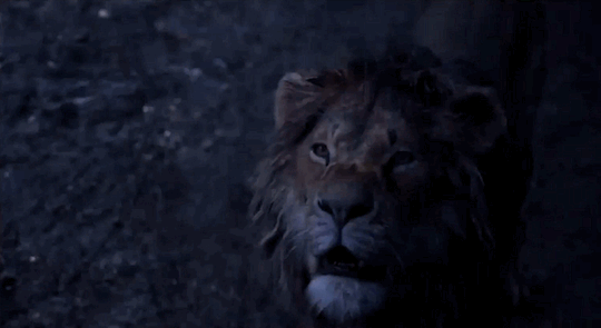 tumblr_ppqzejhpkp1vb1pky_540.gif