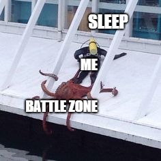2dxi8g.jpg