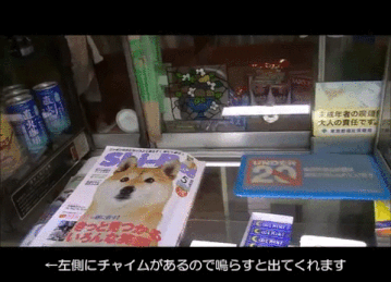 mNjj2S7.gif