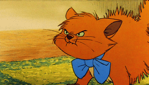 the-aristocats-the-aristocats-33263172-500-286.gif
