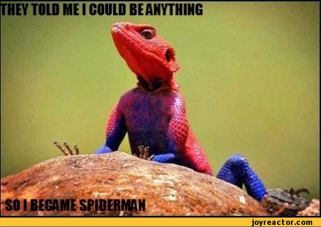 funny-pictures-auto-they-told-me-i-could-be-anything-lizard-389282.jpeg