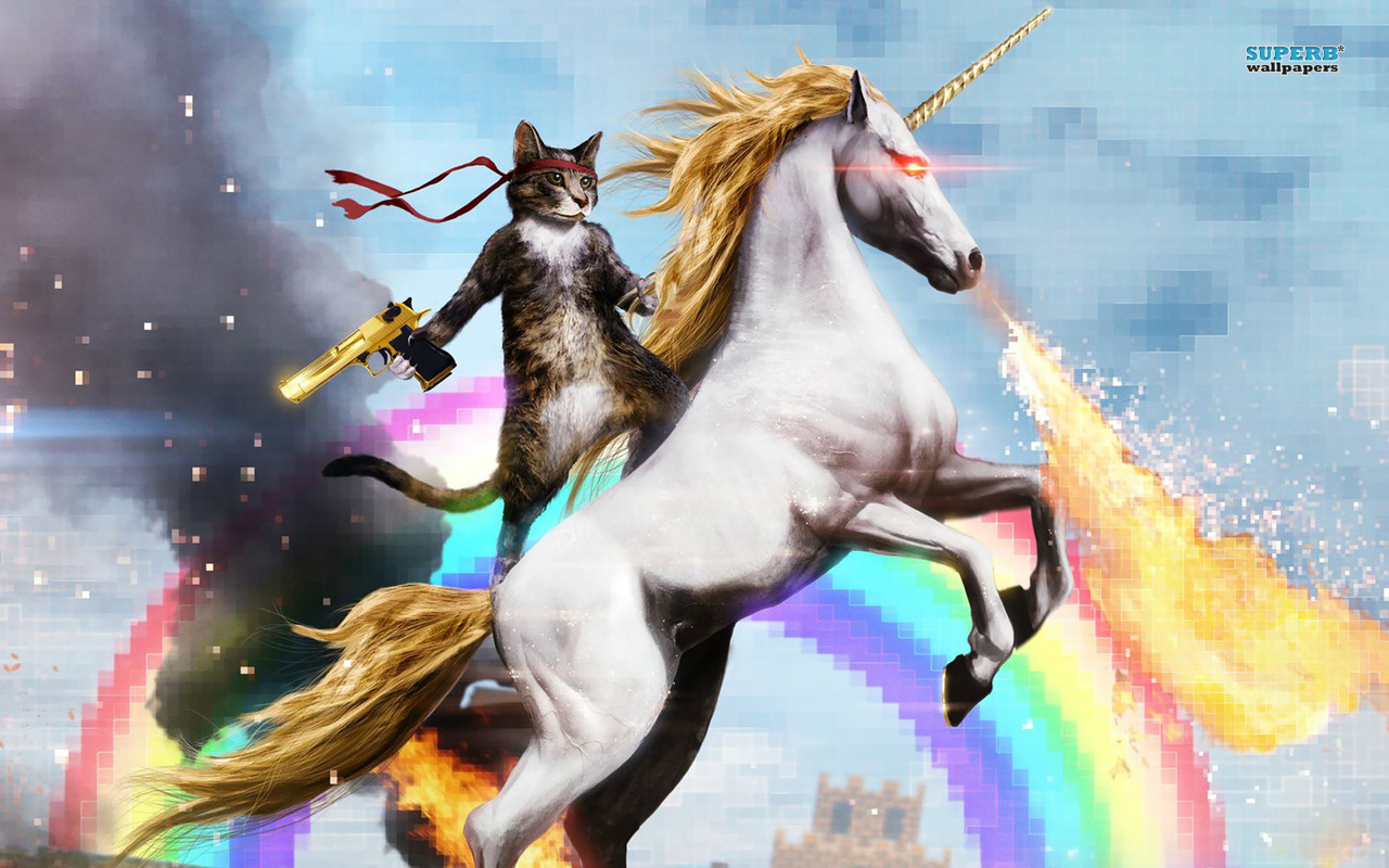 cat-riding-a-fire-breathing-unicorn-16414-1280x800.jpg