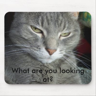 what_are_you_looking_at_mouse_pad_mousepad-p144270527483818451trak_400.jpg