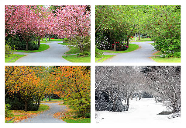 four-seasons-on-the-same-street-picture-id501768068