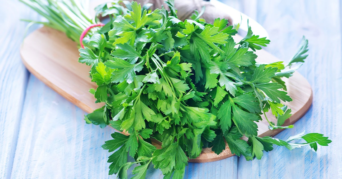 parsley-herb-1200x628-facebook.jpg
